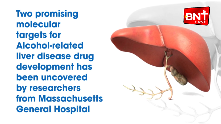 Breakthrough study unveils promising drug treatment targets for alcohol related liver disease