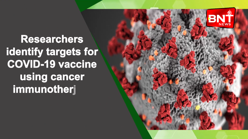 Researchers identify targets for COVID 19 vaccine using cancer immunotherapy tools1