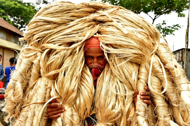 किसानों को जूट के बीज बांटेगी जेसीआई, एनएससी से किया करार
