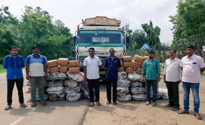 आंध्र प्रदेश पुलिस ने कोयला ट्रक से 870 किलो गांजा बरामद किया