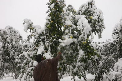 जम्मू-कश्मीर में भारी बर्फबारी से पहले घुसपैठ की कोशिशें बढ़ेंगी : इंटेल एजेंसियां