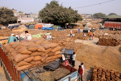 बिहार में 3 चरणों में होगी धान की खरीदी, 1 नवंबर से होगी शुरुआत