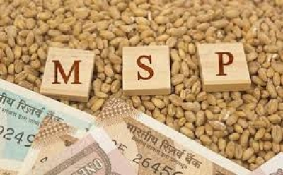 कैबिनेट ने 2022 सीजन के लिए नारियल गरी पर एमएसपी में वृद्धि को मंजूरी दी