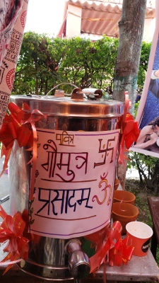 छत्तीसगढ़ में कृषि क्षेत्र में गौमूत्र का उपयोग करने की योजना तैयार कर रही राज्य सरकार