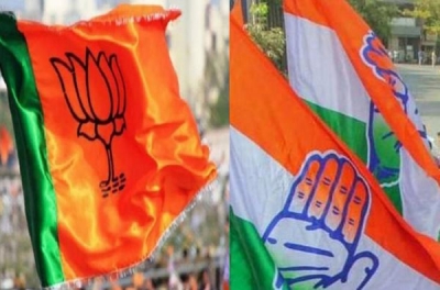 मप्र में नगर निकायों में भाजपा को बड़ी जीत और कांग्रेस के भी 3 महापौर जीते