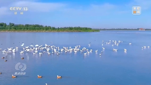 अंतर्राष्ट्रीय समुदाय ने पारिस्थितिक व पर्यावरण संरक्षण सम्मेलन में शी चिनफिंग के भाषण का उच्च मूल्यांकन किया