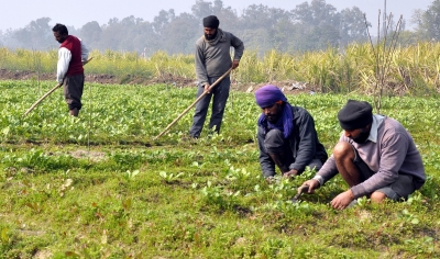 गौ आधारित खेती है पुण्य, बचत और सतत विकास का आधार, किसानों की हो रही बचत